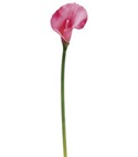 silk calla lily