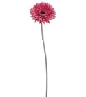 silk gerbera daisy