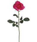 silk rose