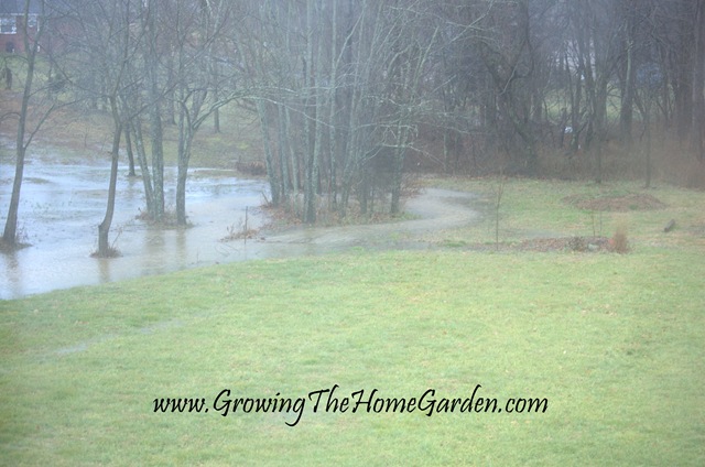 [Backyard flooding 1-2010-2[5].jpg]