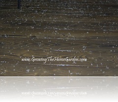Hail on Back Deck 1-2010-1 Hail on Back Deck 1-2010-1
