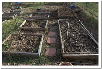 Vegetable Garden in Winter 1-2010-2 Vegetable Garden in Winter 1-2010-2