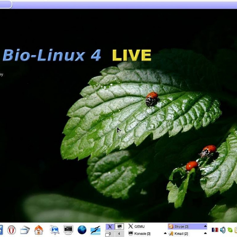 Bio-Linux is an ideal system for scientists handling and analysing biological data.