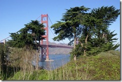 SF_GGB 172