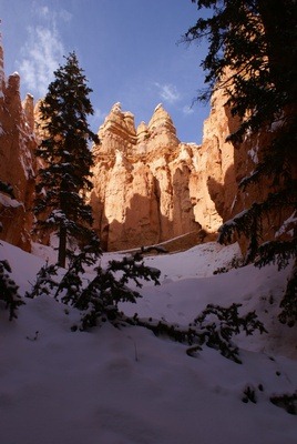 [Bryce-1-0623.jpg]