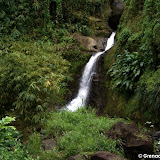 grenada attractions  Annandale Waterfalls Pictures