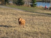 IMG_3272_1