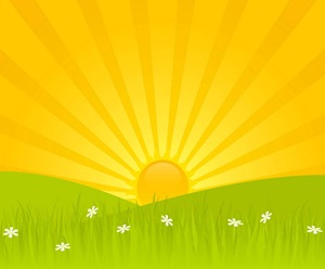 homepage3