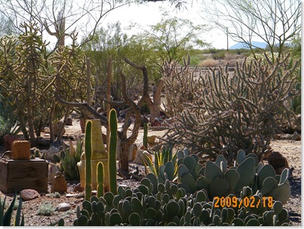 Sunscape Cactus Garden (quail)