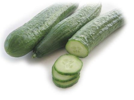 [cucumbers 1[4].jpg]