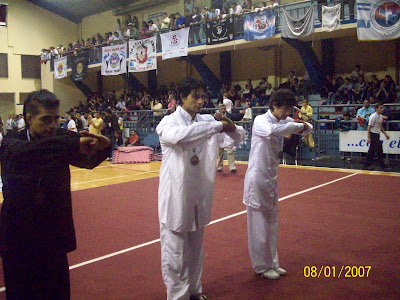Copa Wushu Formosa 2010