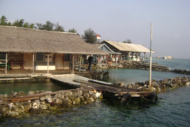 [Penangkaran hiu dan penyu[TIC Jepara] (4)[5].jpg]