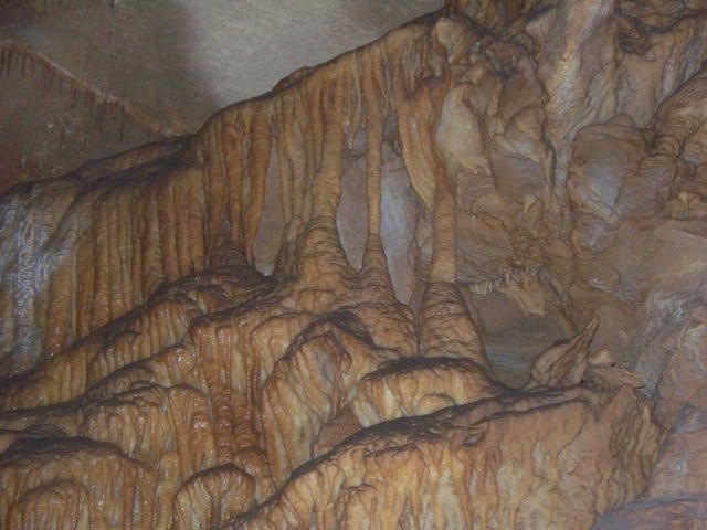 [9-10 thu 9-11-09 Mammoth Cave, KY 020[2].jpg]