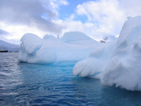 IMG_4445.JPG