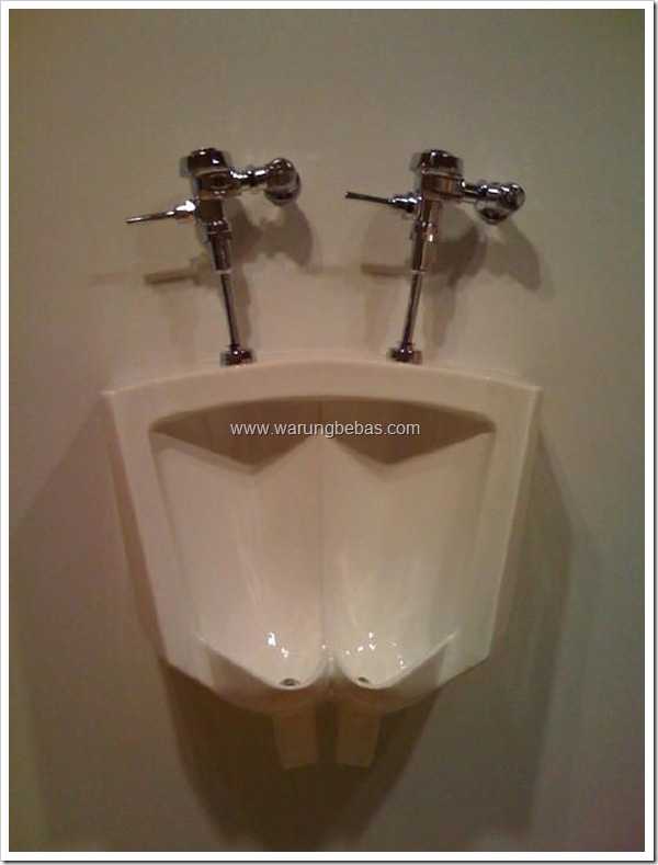 toilet-gay