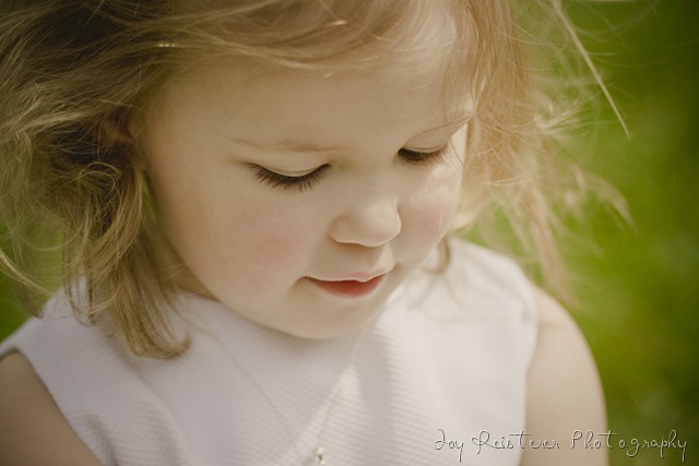 [alblogimg_0139[19].jpg]