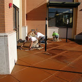 Bridgeport Village Shopping Center - Tigard, Oregon