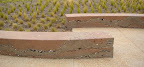Sediment Bench.jpg