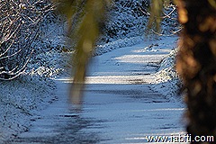 DSC_01920001