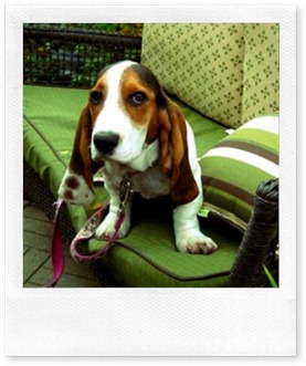 lucy