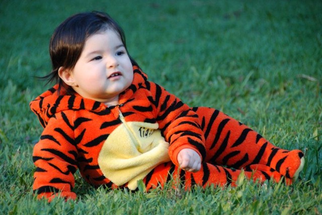 [DSC_0050_Small[8].jpg]