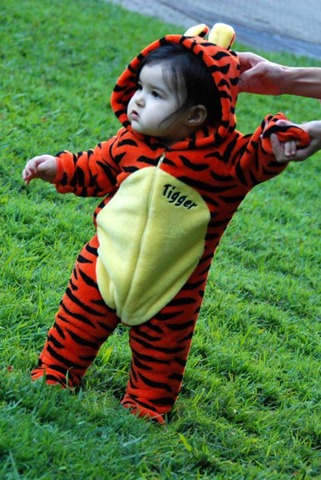 [DSC_0078_Small[6].jpg]