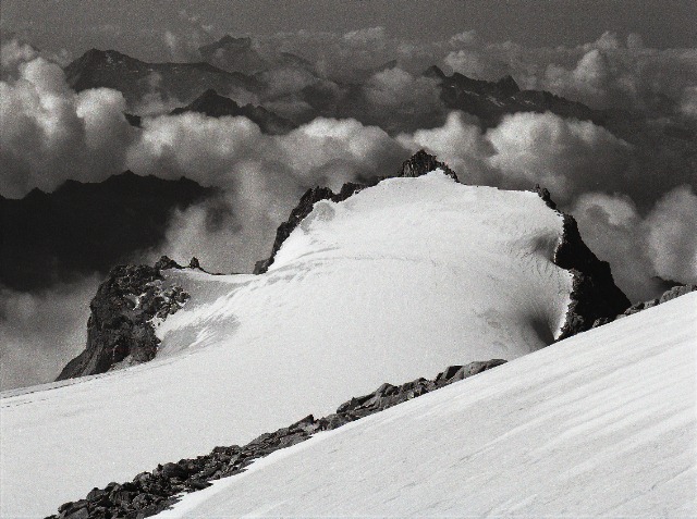 [Corno Miller_741kb.jpg]