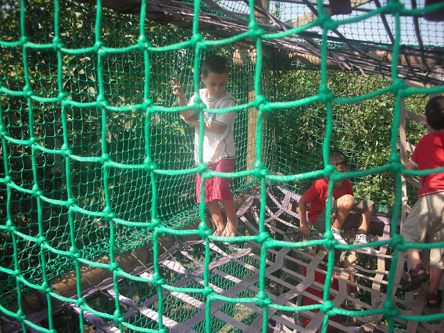 DSCN5569.JPG