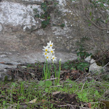 DSCN5911.JPG