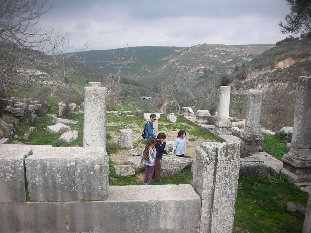 DSCN6311.JPG