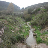 DSCN6319.JPG