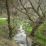 DSCN6333.JPG