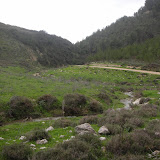 DSCN6334.JPG