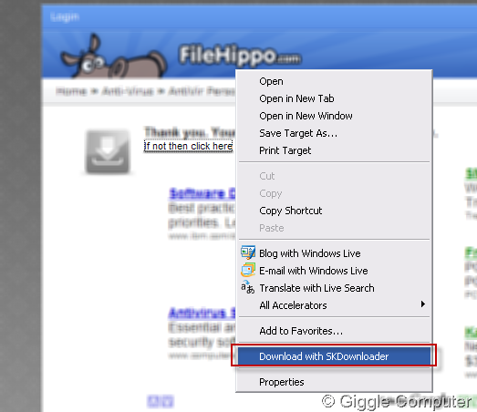 Start SKdownloader - Browser Integration