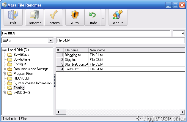 Mass File Renamer - Window