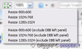 Resize window