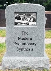 Synthesis_Tombstone Synthesis_Tombstone