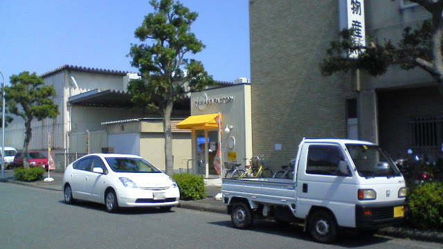 SN390405.JPG