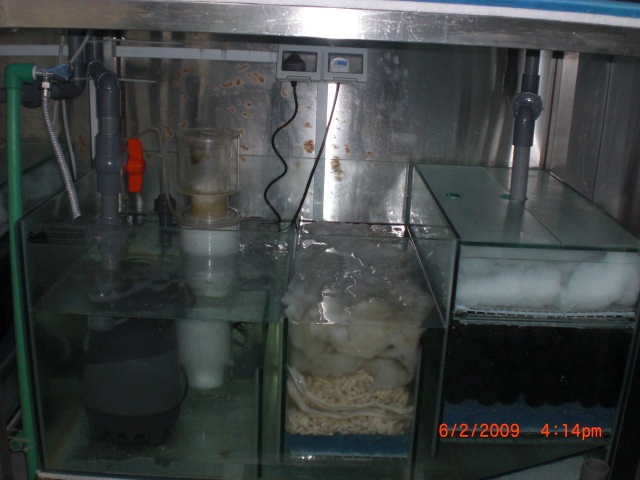 [CIMG02843.jpg]
