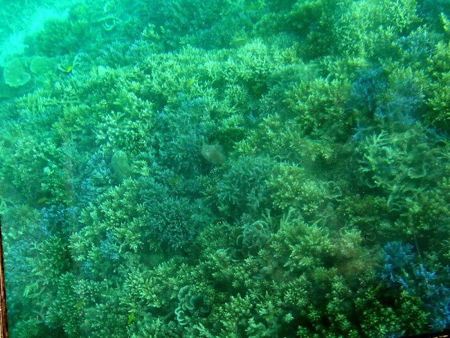 R0011679.JPG