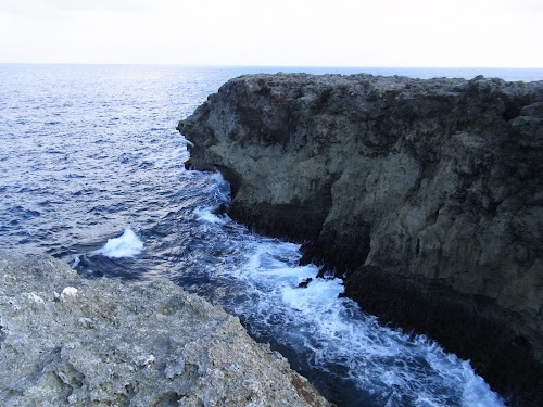 R0011892.JPG