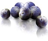 Acai Berry Burn