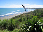 Raglan