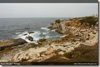 IMG_8948