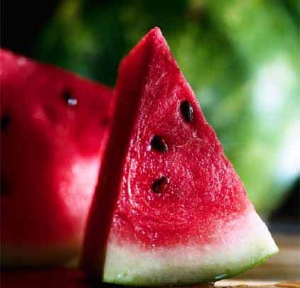 [watermelon-3[3].jpg]