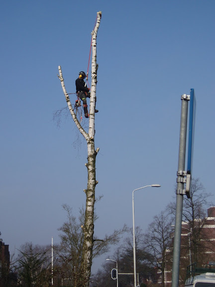 rooien Berk