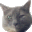 [pri-blog[5].gif]
