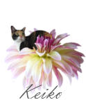 [keiko-signature[2].png]