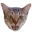 [ryu-icon[2].png]