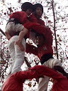 http://lh4.ggpht.com/_PKO_RoJQEZ0/S30RgNJOLFI/AAAAAAAABBU/G5zVa1WwvBE/P1230167.JPG